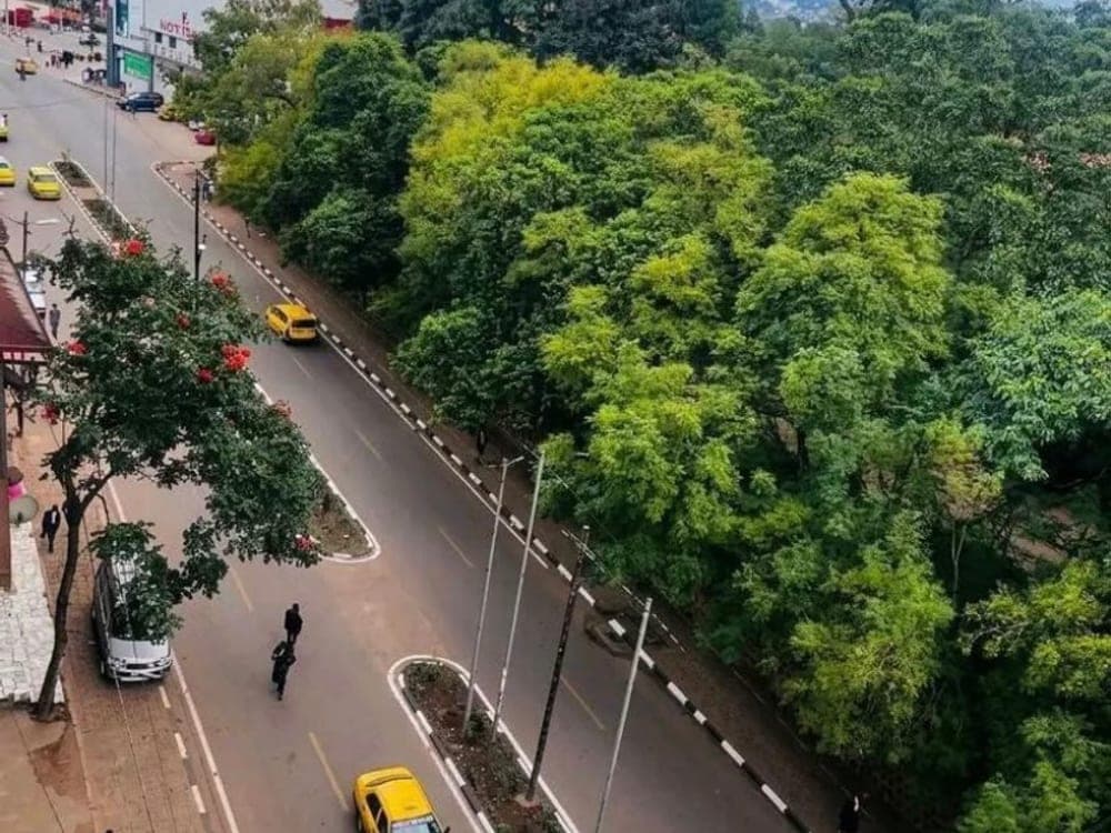 Bukavu